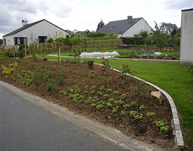 Beplanting5 - 280x220 resize.jpg
