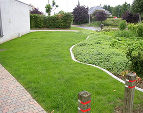 Gazon6 - 280x220 resize.jpg