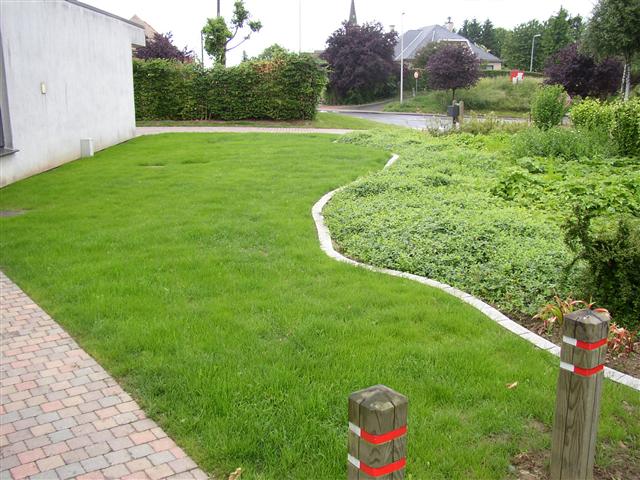 Gazon6.jpg